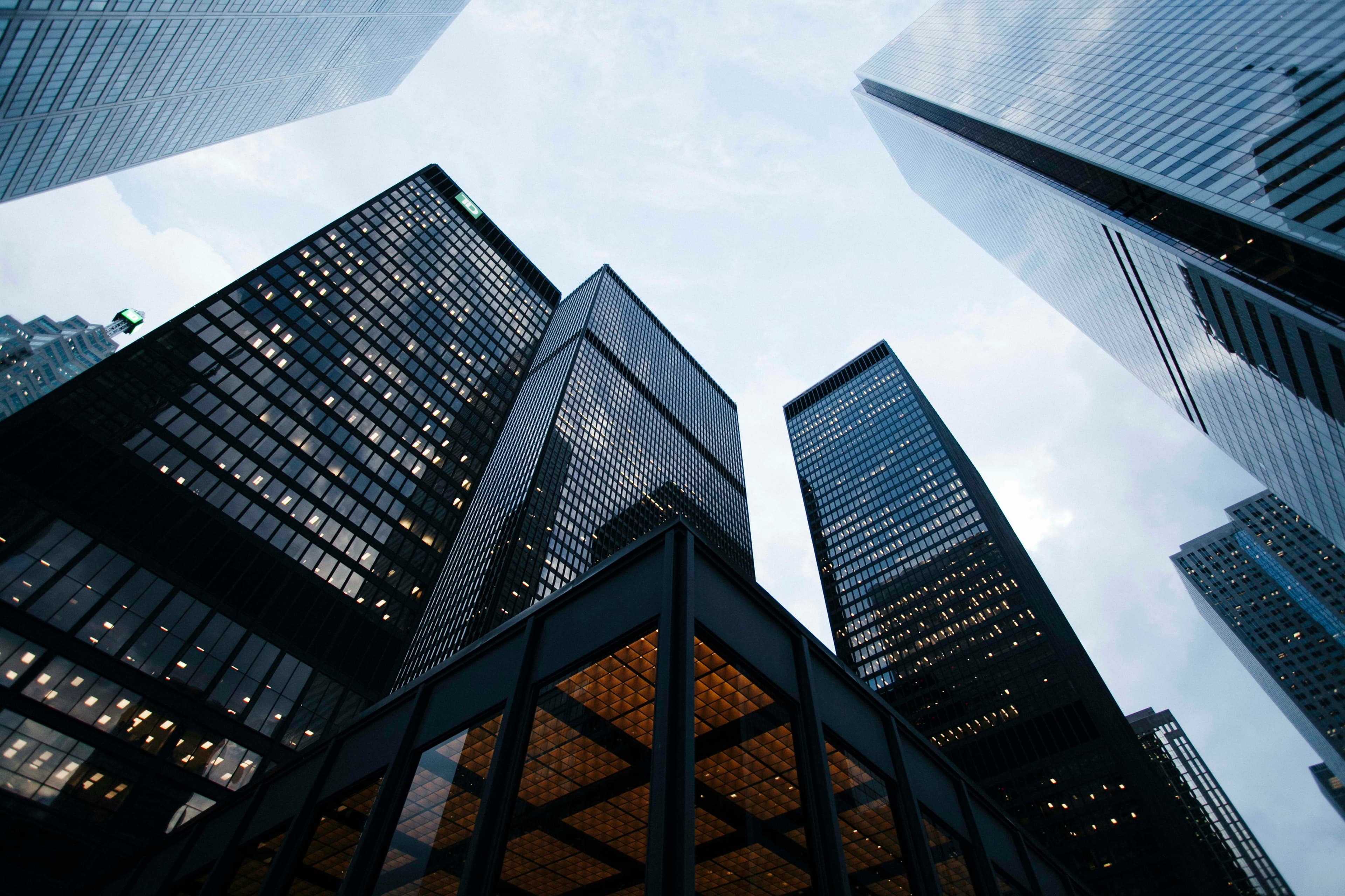 Case Study: From Local to Regional Powerhouse